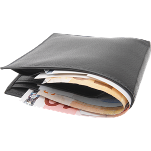 Wallet PNG-77072